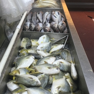 Fresh fish in market