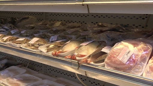 Fish recommendation video 
