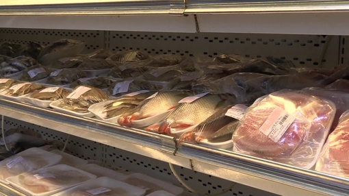 Fish (fresh)