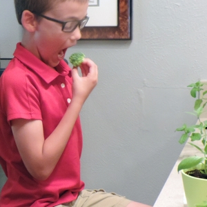 Boy eating broccoli