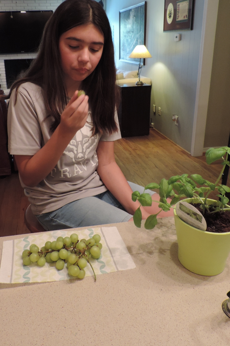 Girl eating grapes