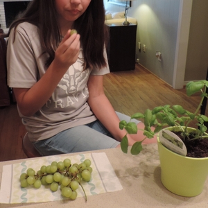 Girl eating grapes
