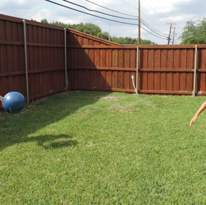 Siblings playing catch