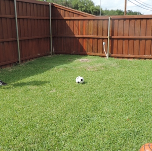 Playing soccer