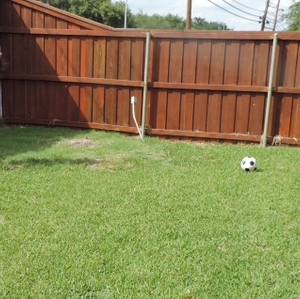 Backyard soccer
