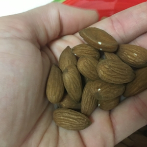Almonds in hand