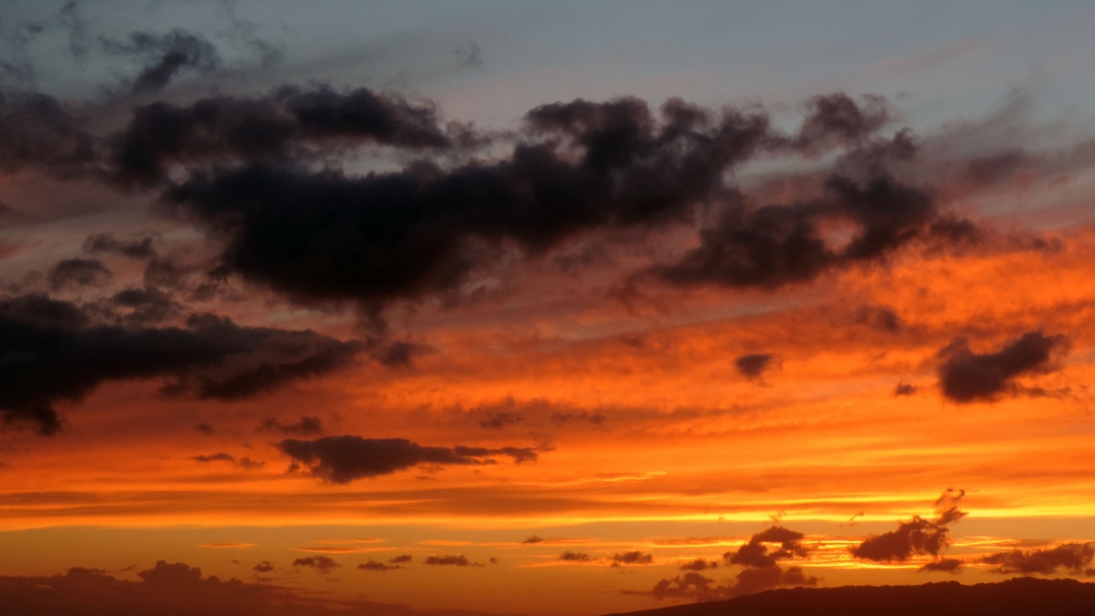 sunset close up