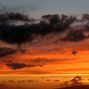 sunset close up