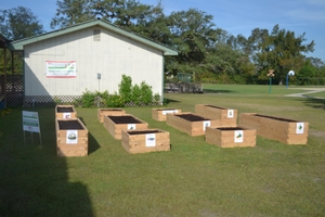 Building healthier communities through gardening and nutrition education 