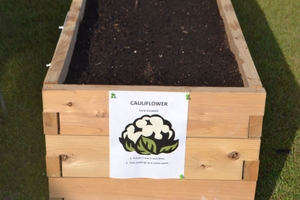 American Heart Association Teaching Garden