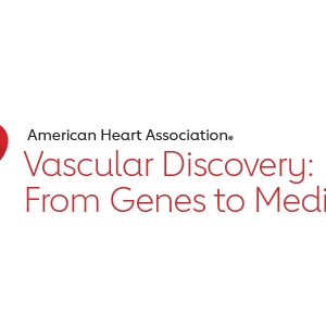 Links connecting stress, depression and heart disease risk found in mouse model