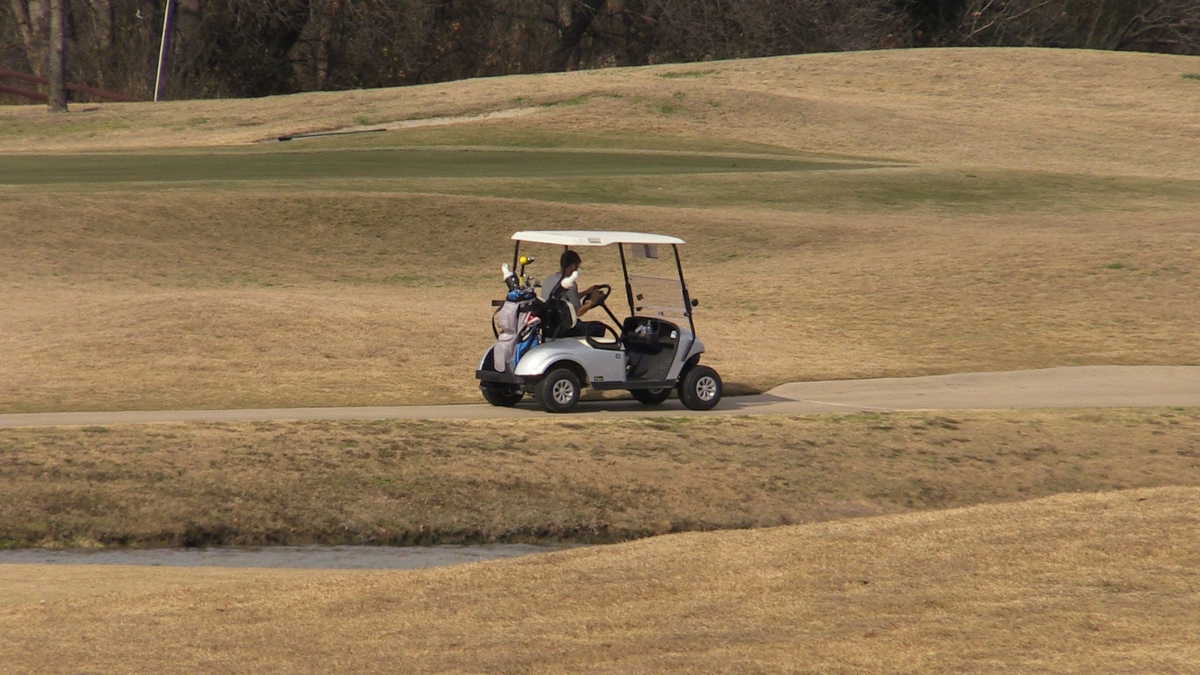 Man driving golf cart