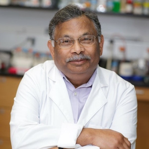 Specific gut bacteria may be associated with pulmonary arterial hypertension