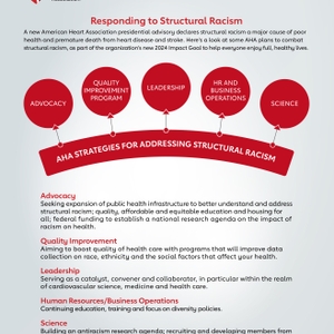 Structural Racism Infographic