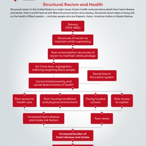 Structural Racism Flowchart