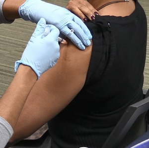 Flu Vaccine ANR - English 
