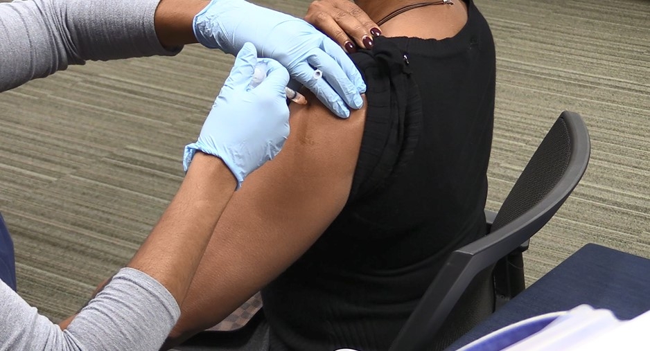 Flu Vaccine ANR - Spanish 