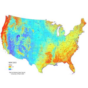 More green spaces can help boost air quality, reduce heart disease deaths