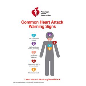 GLP-1, SGLT2 medications may lower stroke survivor's risk of future heart attack, stroke