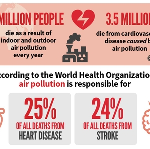 Air pollution CVD and stroke statistics 