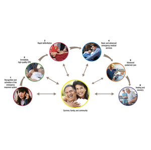 Centralized System of Care