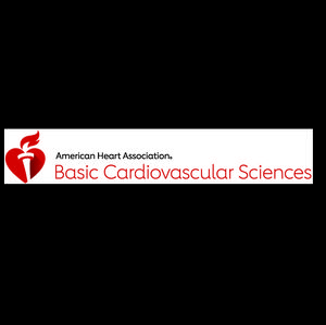 American Heart Association BCVS logo 