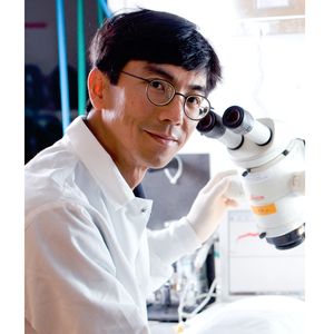 Eng H. Lo, Ph.D., FAHA, named the American Heart Association’s 2021 Distinguished Scientist in Stroke