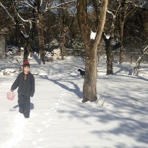 Boy walking in the snow