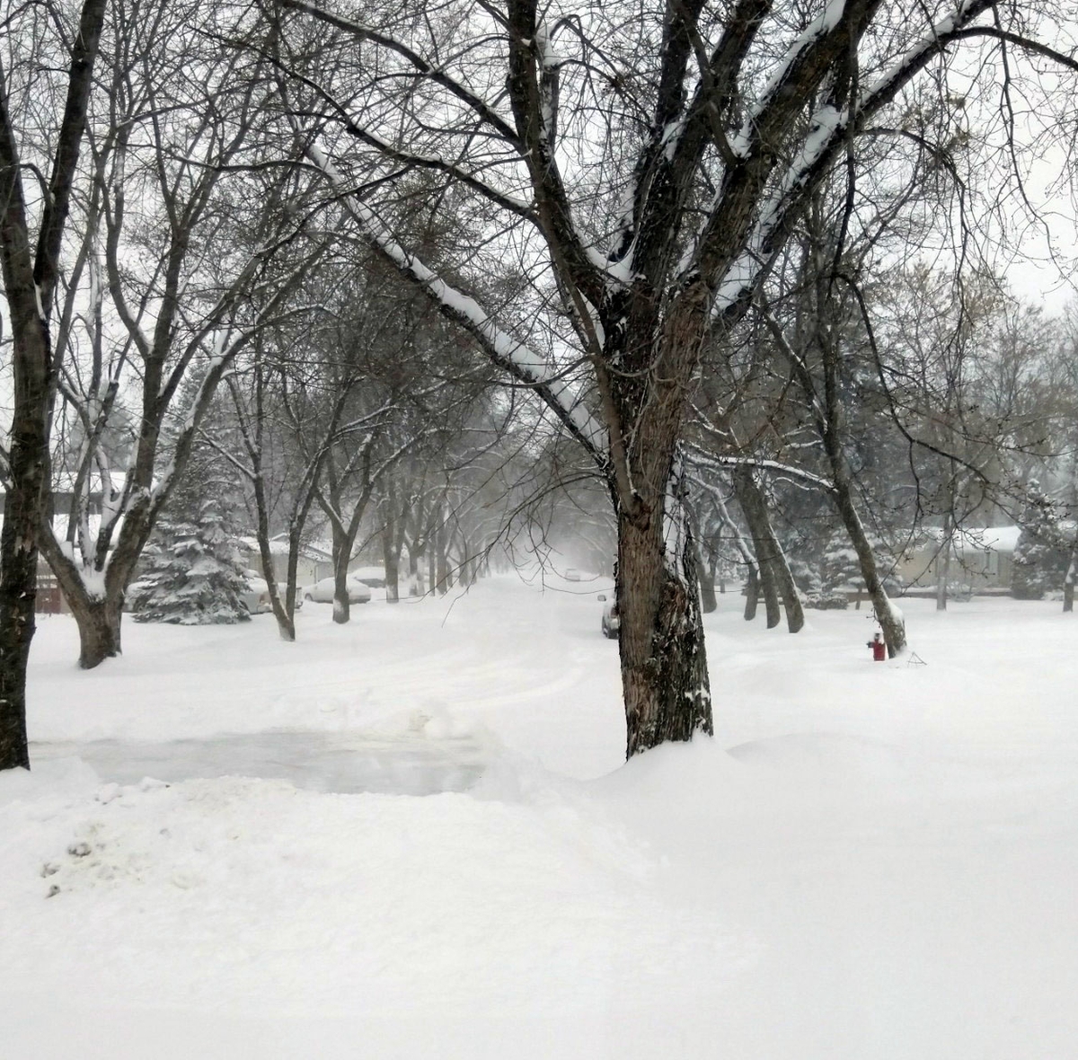 Snow covered neighborhood