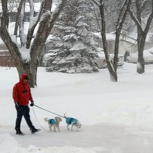Cold weather may pose challenges to treating high blood pressure