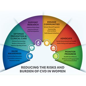 Investment, action urged to improve access, quality and equity in women’s heart health 