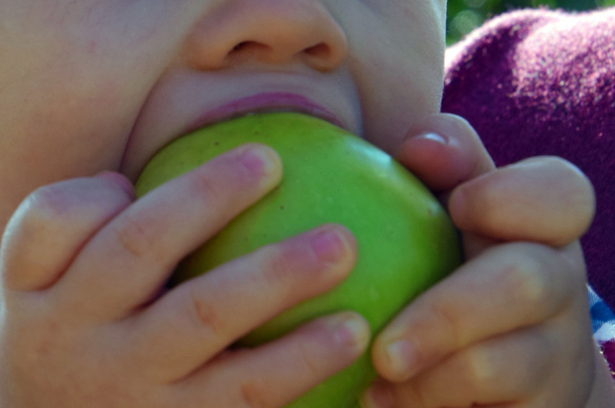 Child biting an apple