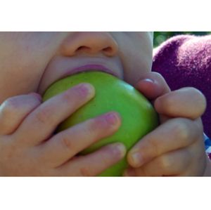 Child biting an apple