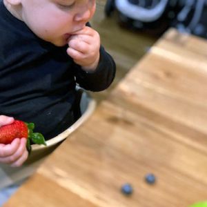 Toddler eating berries
