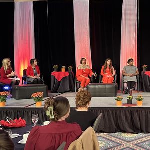 Syracuse Go Red for Women Luncheon maternal health panel