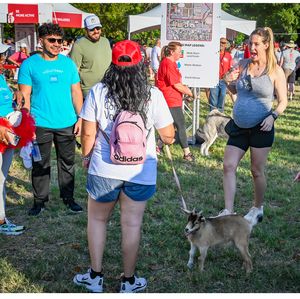 Heart Walk in Fort Worth - Goat Walker