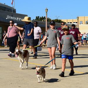 Heart Walk in Fort Worth - Kids walk with dogs