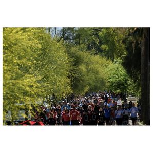 Southern Arizona 2023 Heart Walk Breaks Funding and Attendance Records