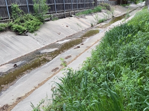 Water run-off