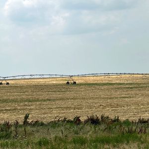 crop irrigation