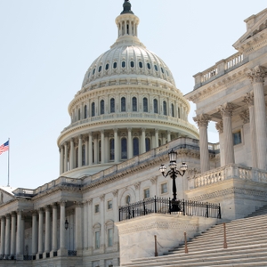 U.S. Capitol Building steps