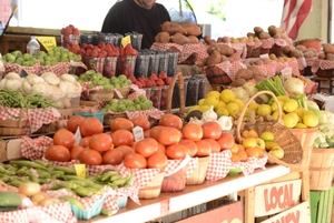 Colorful Farmer's Market