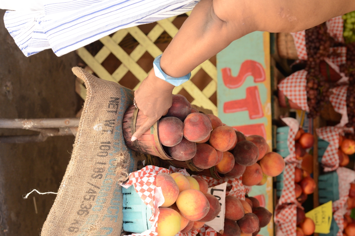 Shopping at the Farmer's Market