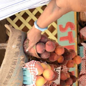 Shopping at the Farmer's Market