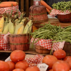 Summer crops