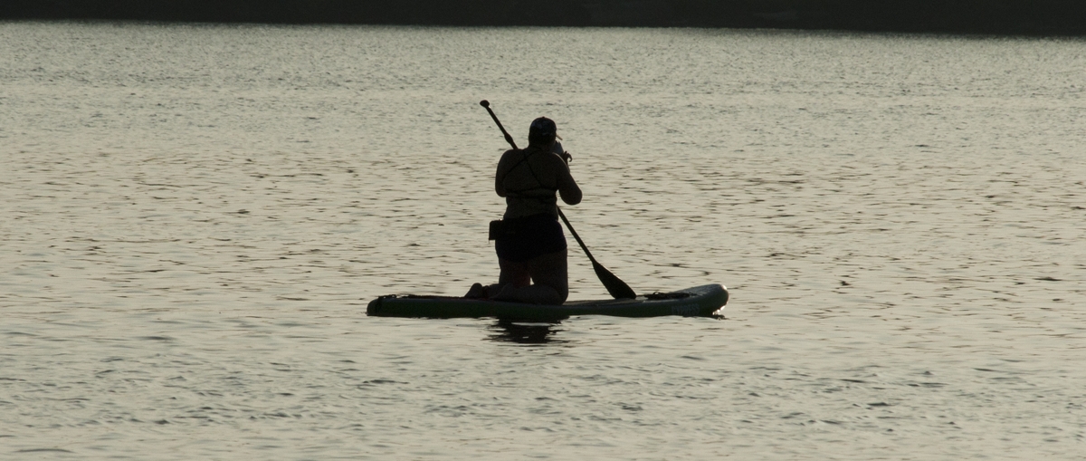 Paddle boarding on the lake