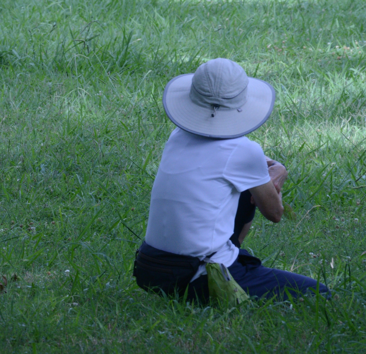Shade break in summer heat