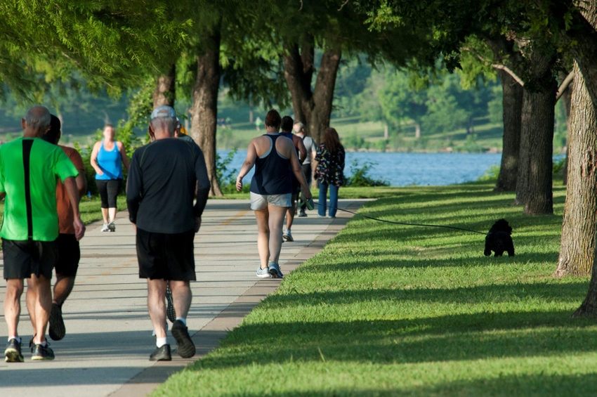 Adults with heart-healthy metrics had better health from head to toe