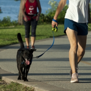 walking path with dog owner