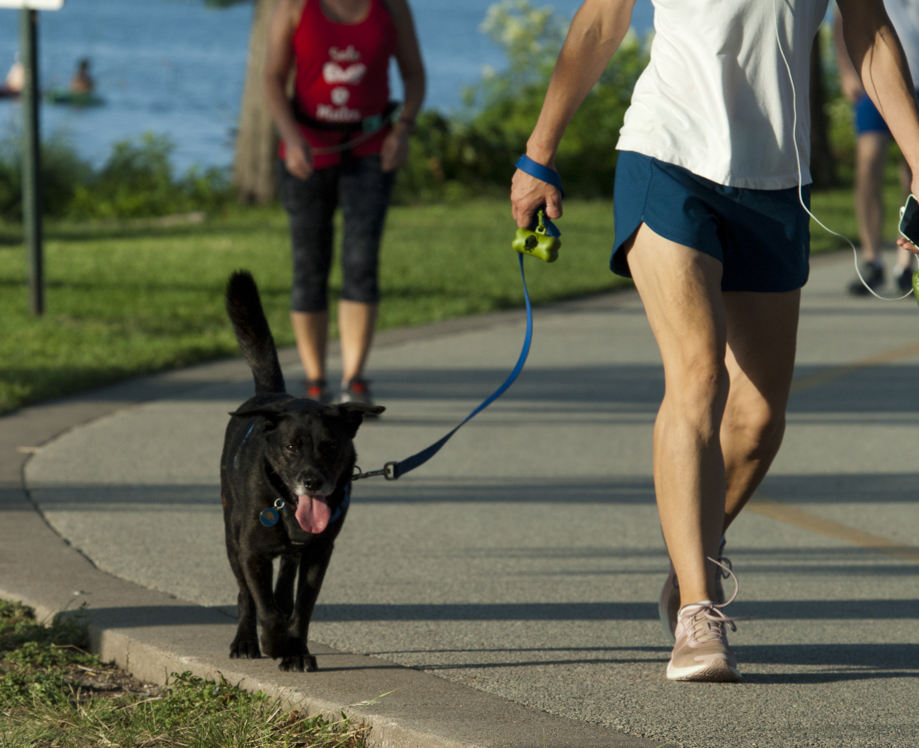 walking path with dog owner